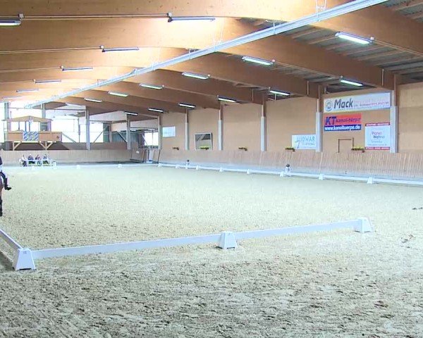 Reitturnier Grafenrheinfeld/Ufr. 2025