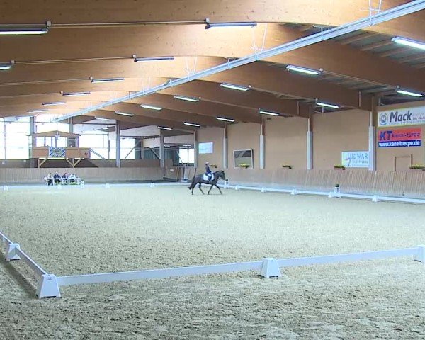 Reitturnier Grafenrheinfeld/Ufr. 2025