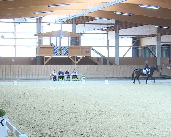 Reitturnier Grafenrheinfeld/Ufr. 2025