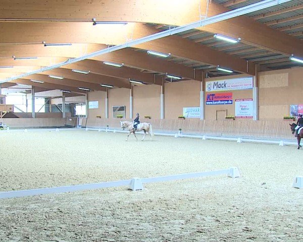 Reitturnier Grafenrheinfeld/Ufr. 2025