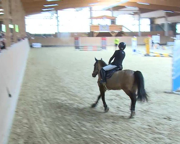 Reitturnier Grafenrheinfeld/Ufr. 2025