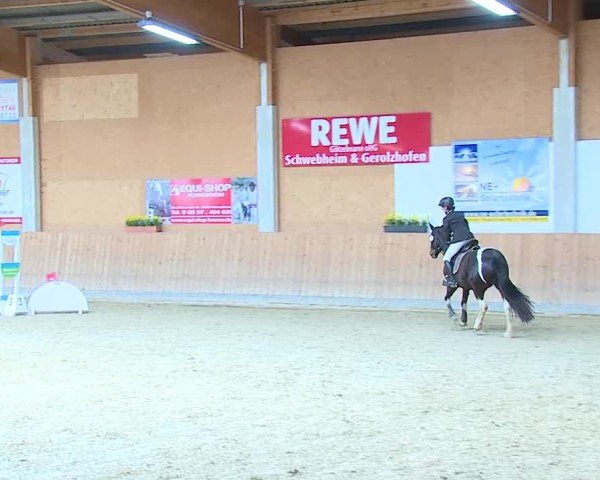 Reitturnier Grafenrheinfeld/Ufr. 2025
