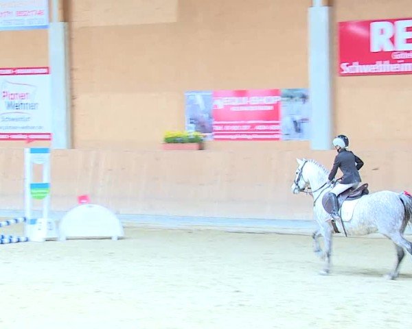 Reitturnier Grafenrheinfeld/Ufr. 2025