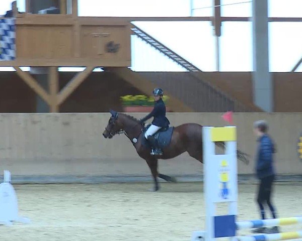 Reitturnier Grafenrheinfeld/Ufr. 2025