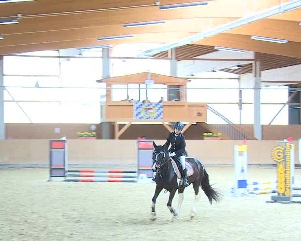 Reitturnier Grafenrheinfeld/Ufr. 2025