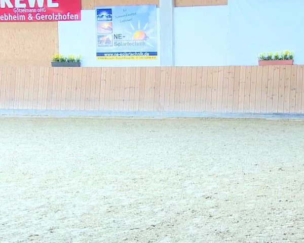 Reitturnier Grafenrheinfeld/Ufr. 2025