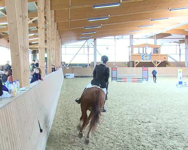 Reitturnier Grafenrheinfeld/Ufr. 2025