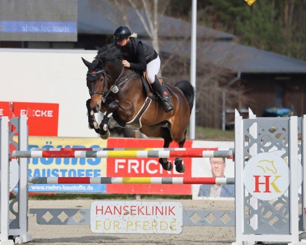 jumper Viva la Vida 56 (Hanoverian, 2017, from Vagabond de la Pomme)