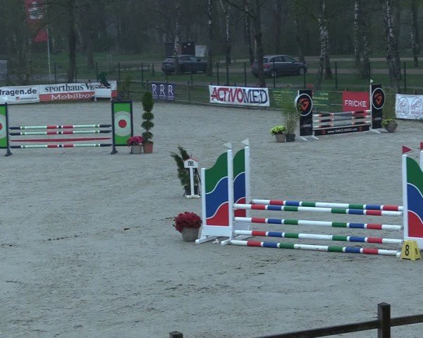 Reitturnier Westergellersen 2025
