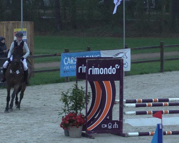 Reitturnier Westergellersen 2025