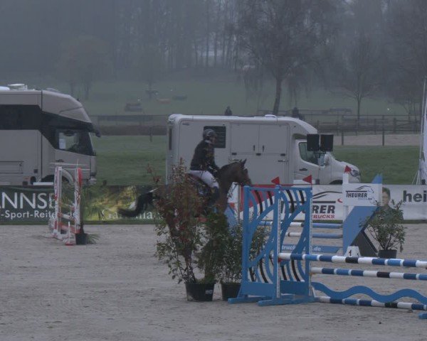 Reitturnier Westergellersen 2025