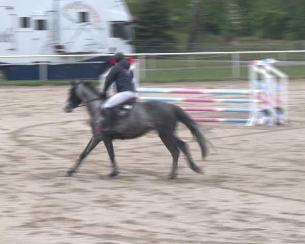 Reitturnier Margarethen am Moos 2025