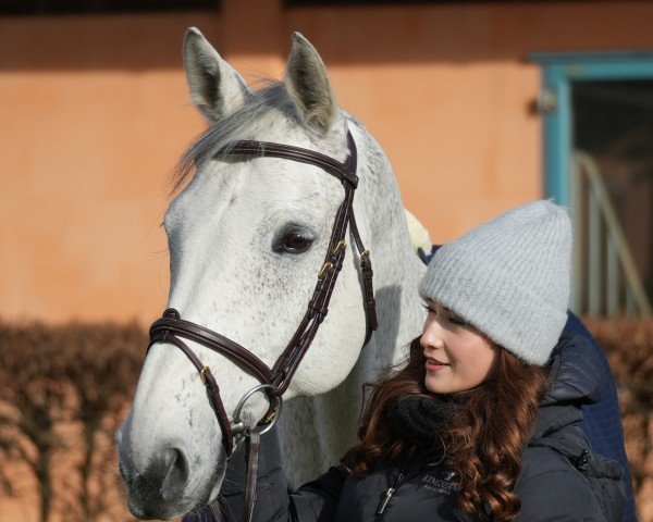 jumper Charly Brown 317 (Holsteiner, 2010, from Colman)
