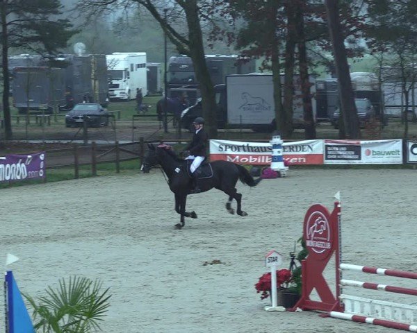 Reitturnier Westergellersen 2025