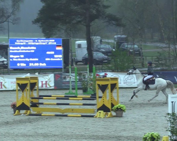Reitturnier Westergellersen 2025