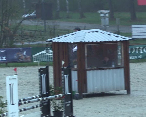 Reitturnier Westergellersen 2025