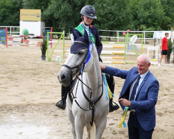 horse Ay Caracho (Hanoverian, 2013, from Acorado II)