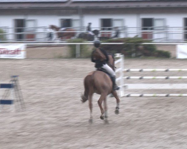 Reitturnier Margarethen am Moos 2025