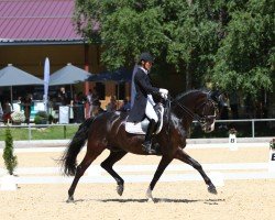 Dressurpferd Landarin K (Württemberger, 2013, von Lord Leopold 7)
