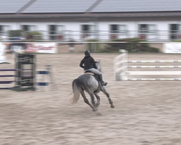 Reitturnier Margarethen am Moos 2025