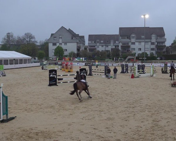 Reitturnier Amriswil 2025