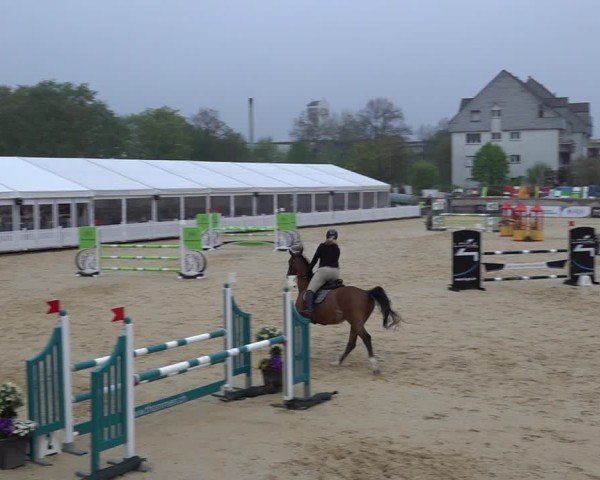 Reitturnier Amriswil 2025