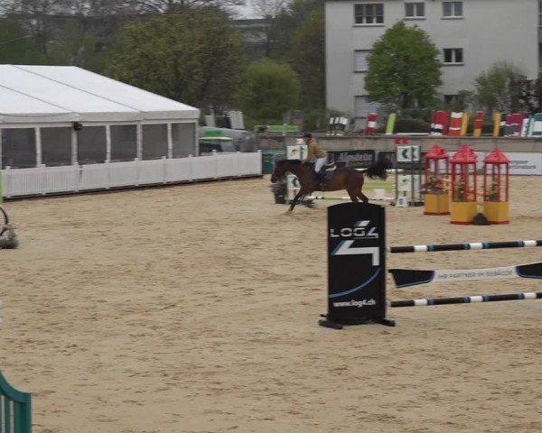 Reitturnier Amriswil 2025