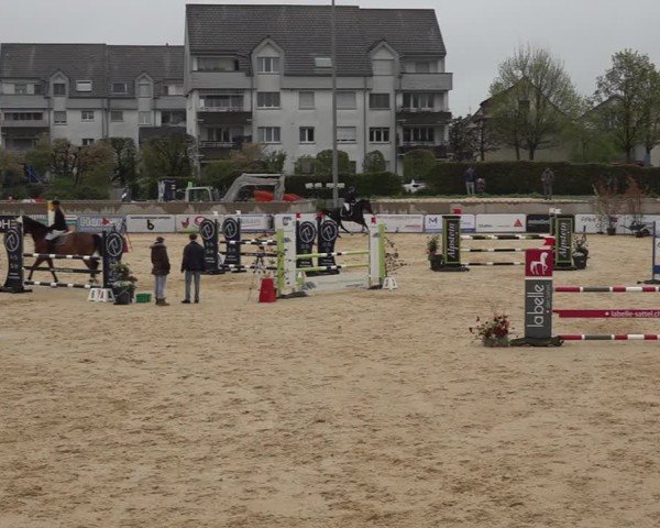 Reitturnier Amriswil 2025