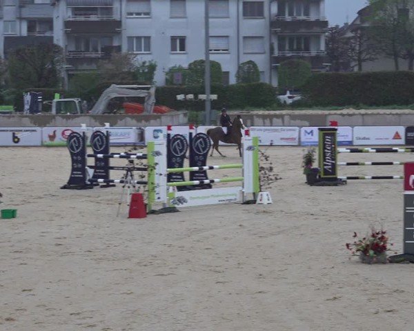 Reitturnier Amriswil 2025