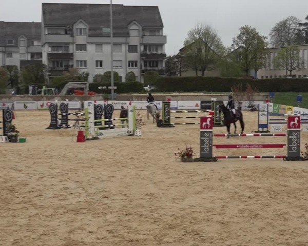 Reitturnier Amriswil 2025