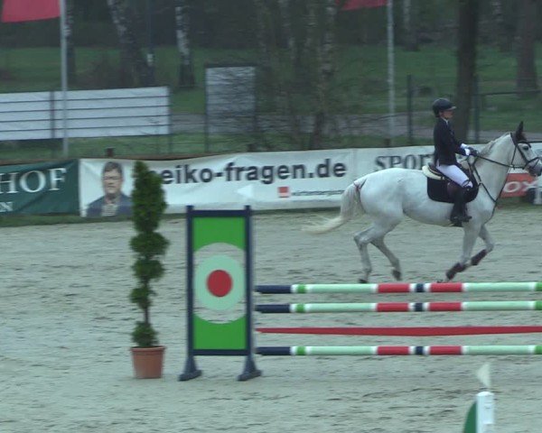 Reitturnier Westergellersen 2025