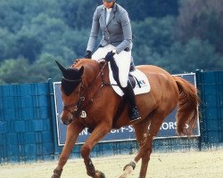 broodmare Paulette-M (Belgian Warmblood, 2015, from Nabab de Rêve)