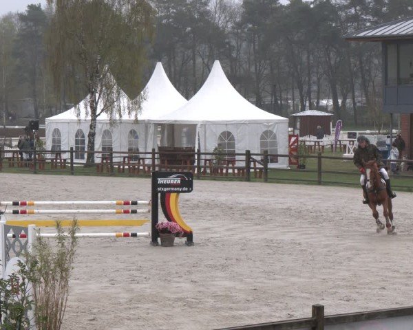 Reitturnier Westergellersen 2025