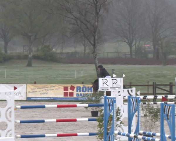Reitturnier Westergellersen 2025