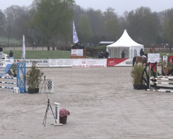 Reitturnier Westergellersen 2025