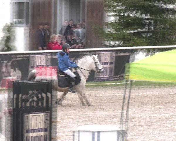 Reitturnier Margarethen am Moos 2025