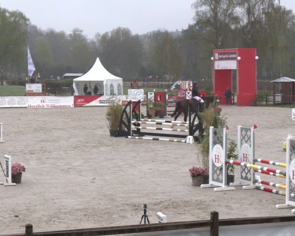 Reitturnier Westergellersen 2025