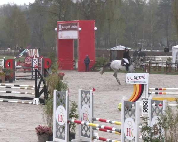 Reitturnier Westergellersen 2025