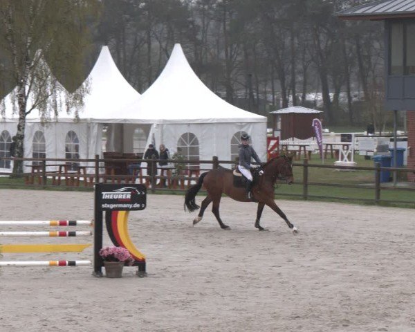 Reitturnier Westergellersen 2025