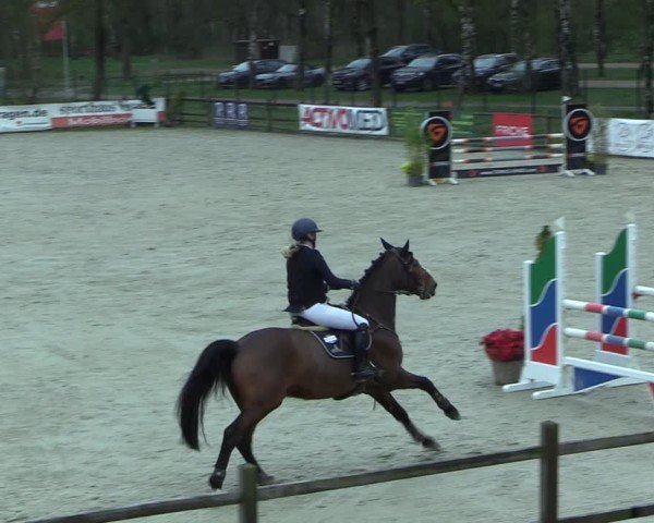 Reitturnier Westergellersen 2025