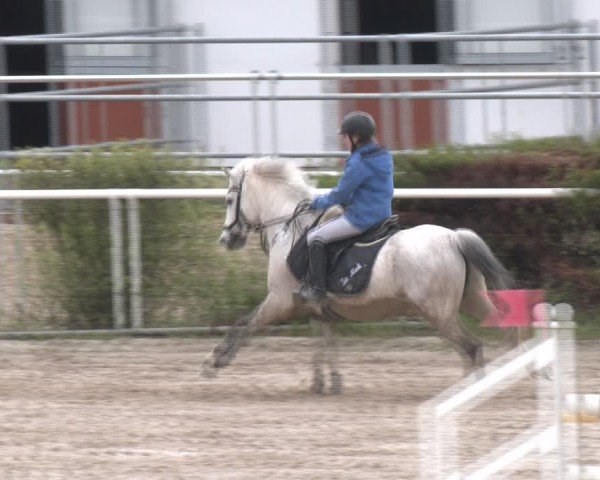 Reitturnier Margarethen am Moos 2025