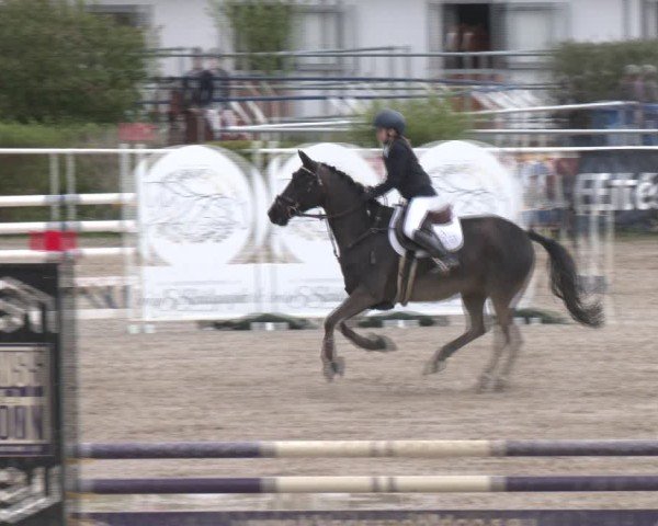 Reitturnier Margarethen am Moos 2025