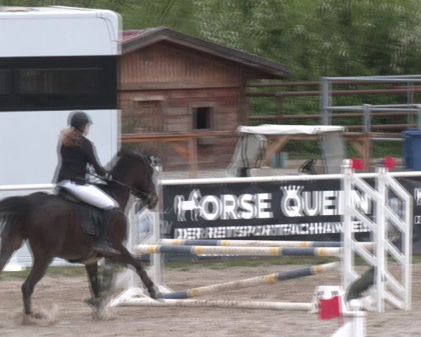 Reitturnier Margarethen am Moos 2025