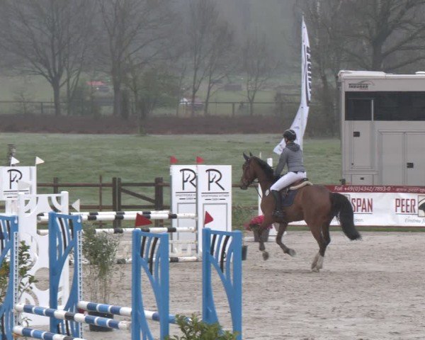 Reitturnier Westergellersen 2025