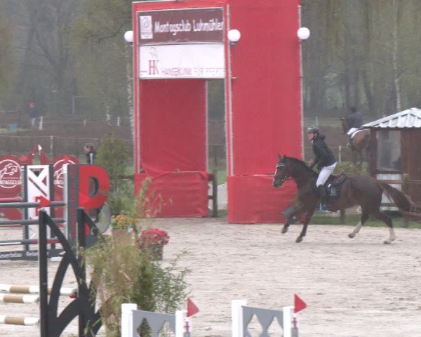 Reitturnier Westergellersen 2025