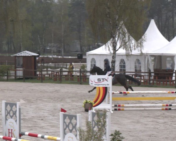 Reitturnier Westergellersen 2025