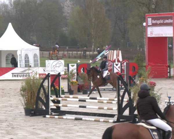 Reitturnier Westergellersen 2025