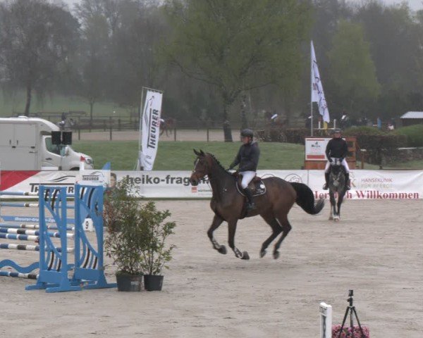 Reitturnier Westergellersen 2025