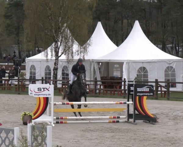 Reitturnier Westergellersen 2025