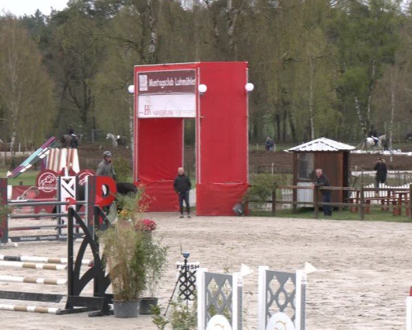 Reitturnier Westergellersen 2025